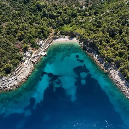 -didina Sućuraj